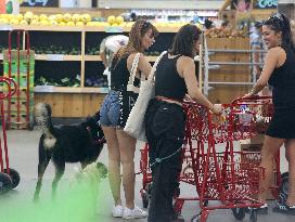 Emily Ratajkowski Grocery Shopping in New York