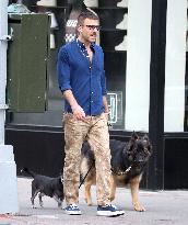 Zachary Quinto Out With His Dogs - NYC