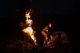 Wildfires Tear Through Greek Forests