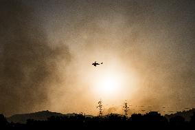 Wildfires Tear Through Greek Forests