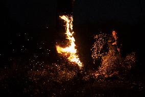 Wildfires Tear Through Greek Forests