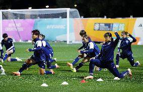 Football: Japan women's national team