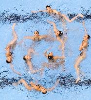 World aquatics championships