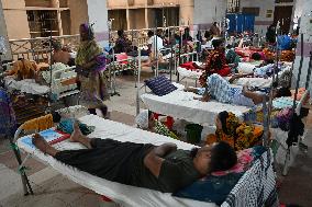 Dengue In Dhaka