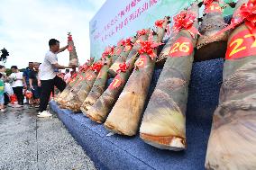 CHINA-GUANGXI-LIUCHENG-BAMBOO SHOOT-COMPETITION (CN)