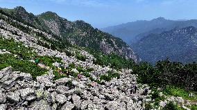 CHINA-SHAANXI-ZHUQUE NATIONAL PARK-SCENERY (CN)