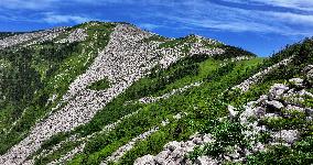 CHINA-SHAANXI-ZHUQUE NATIONAL PARK-SCENERY (CN)