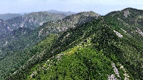 CHINA-SHAANXI-ZHUQUE NATIONAL PARK-SCENERY (CN)