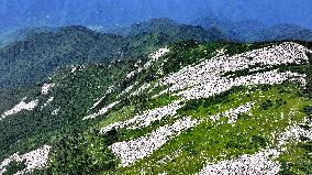 CHINA-SHAANXI-ZHUQUE NATIONAL PARK-SCENERY (CN)