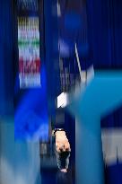 (SP)JAPAN-FUKUOKA-WORLD AQUATICS CHAMPIONSHIPS-DIVING-MEN-10M PLATFORM-FINAL