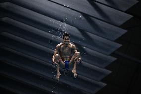 (SP)JAPAN-FUKUOKA-WORLD AQUATICS CHAMPIONSHIPS-DIVING-MEN-10M PLATFORM-FINAL