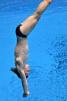 (SP)JAPAN-FUKUOKA-WORLD AQUATICS CHAMPIONSHIPS-DIVING-MEN-10M PLATFORM-FINAL