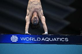 (SP)JAPAN-FUKUOKA-WORLD AQUATICS CHAMPIONSHIPS-DIVING-MEN-10M PLATFORM-FINAL