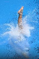 (SP)JAPAN-FUKUOKA-WORLD AQUATICS CHAMPIONSHIPS-DIVING-MEN-10M PLATFORM-FINAL