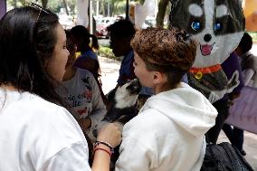 Can Fest Within The Framework Of World Dog Day In Mexico