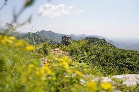 CHINA-HEBEI-GREAT WALL-SCENERY (CN)