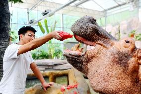 Animals Cool Off at Qingdao Forest Wildlife World
