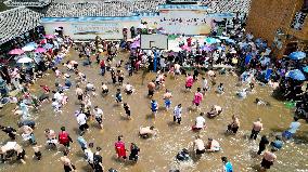 Catching Fish Activity in Liuzhou, China