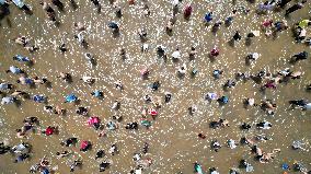 Catching Fish Activity in Liuzhou, China