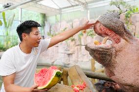 Animals Cool Off at  Forest Wildlife World in Qingdao, China