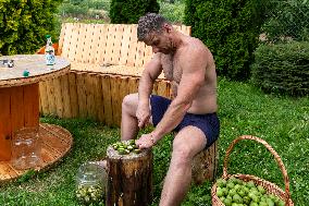 Home-made Fruit Alcohol In Poland