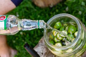 Home-made Fruit Alcohol In Poland