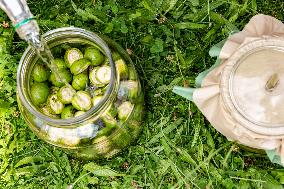 Home-made Fruit Alcohol In Poland