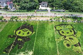 Hangzhou Asian Games Mascot Appears in A Rice Field in Hanghzou, China