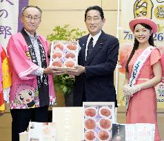 Japan PM Kishida treated to peach