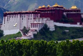 CHINA-TIBET-LHASA-LHALU WETLAND (CN)