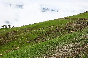 Daily Life In Bandipora, Jammu And Kashmir