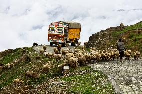 Daily Life In Bandipora, Jammu And Kashmir