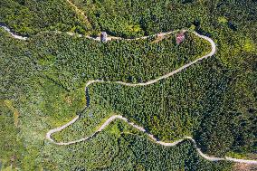 Rural Road in Qiandongnan, China