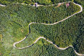 Rural Road in Qiandongnan, China