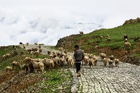 Daily Life In Bandipora, Jammu And Kashmir