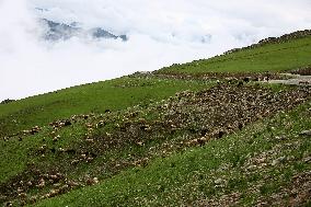 Daily Life In Bandipora, Jammu And Kashmir