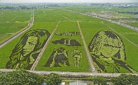 Rice paddy art in eastern Japan