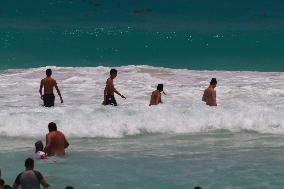 Cancun Continues Its Battle Against Sargassum - Mexico