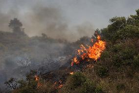 Fire In Algeria