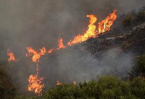 Fire In Algeria