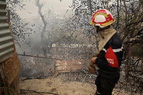 Fire In Algeria