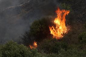 Fire In Algeria