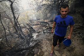 Fire In Algeria