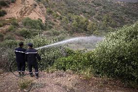 Fire In Algeria