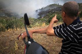 Fire In Algeria