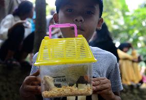 Sellers Baby Hamster In Bogor