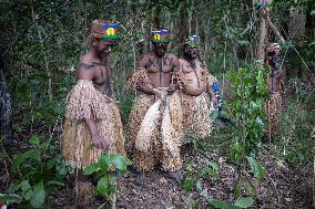Customary ceremony in honour of the President of the Republic - Touho