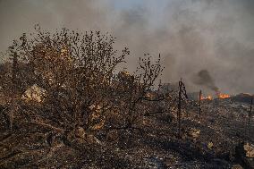 Rhodes Wildfire Forces Thousands Of Evacuations