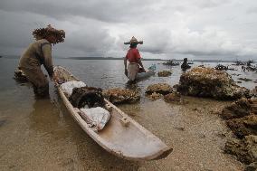 Indonesia In Pictures