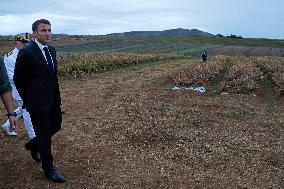 Macron visits a pineapple farmland in Moindou